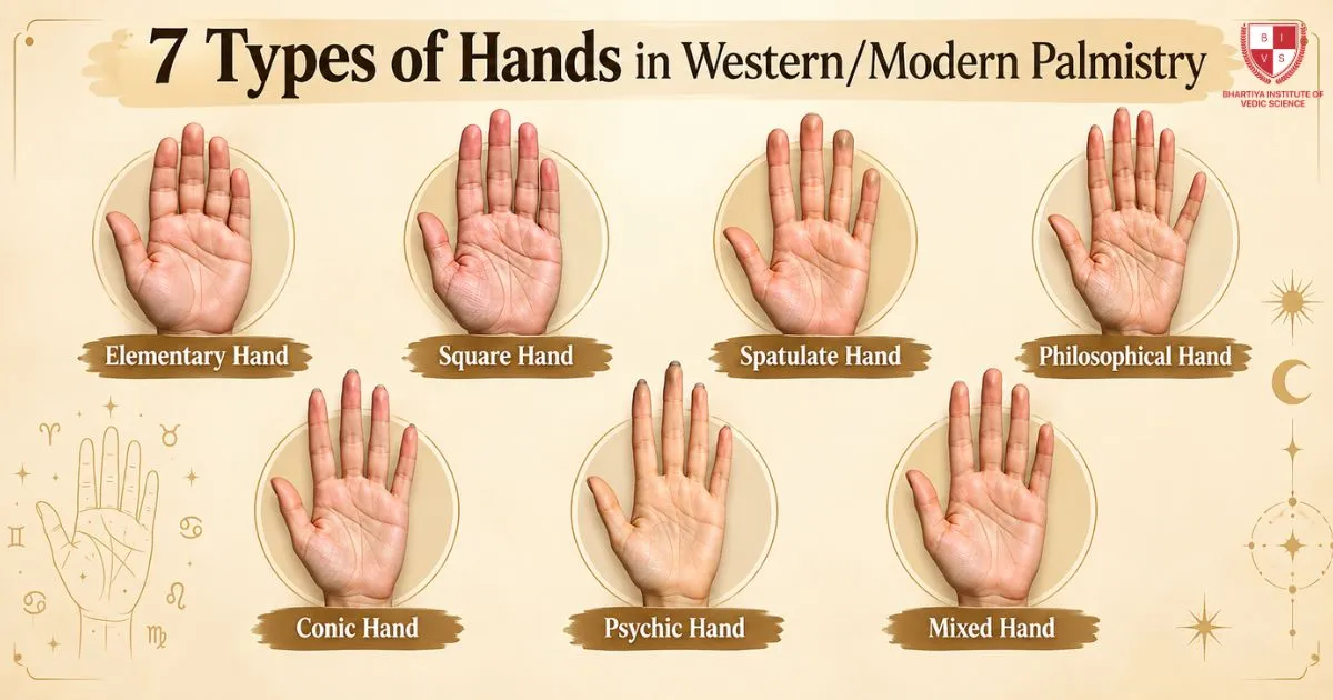 7 Types of Hands in WesternModern Palmistry
